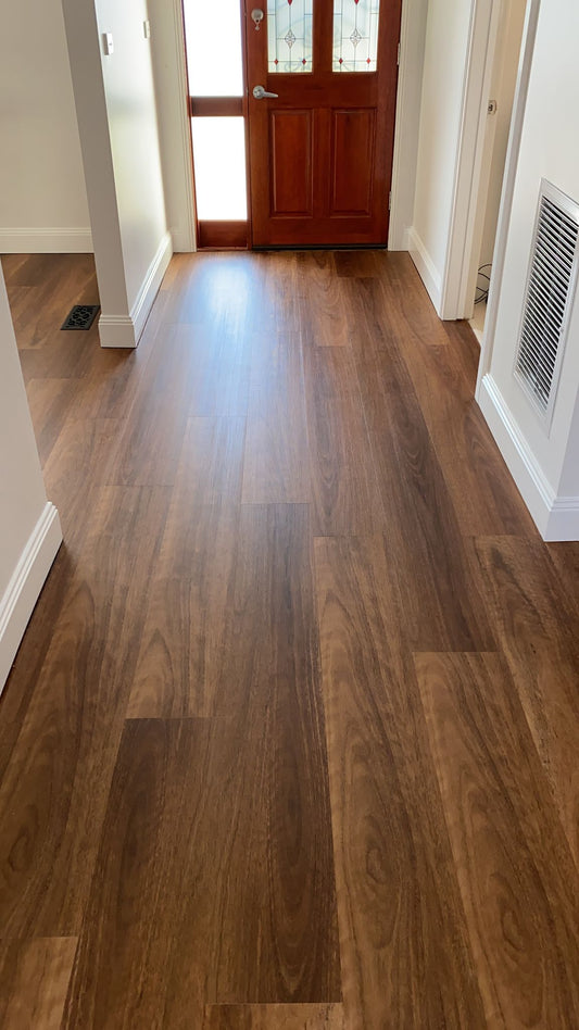 Hybrid 7019 - Jarrah