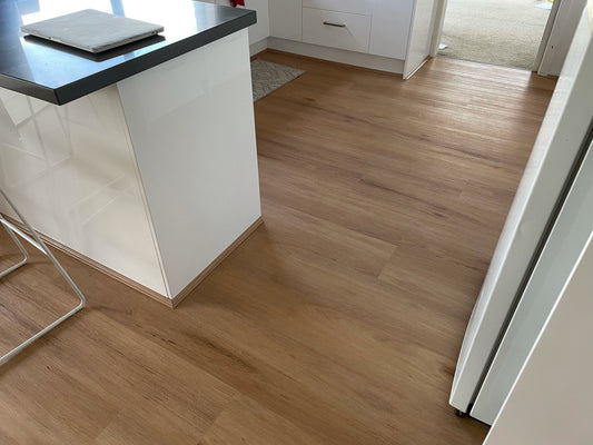 Hybrid 9016 - Coastal Blackbutt