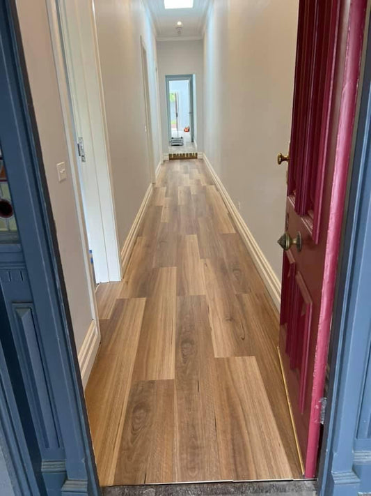 Hybrid 7010 - NSW Spotted Gum