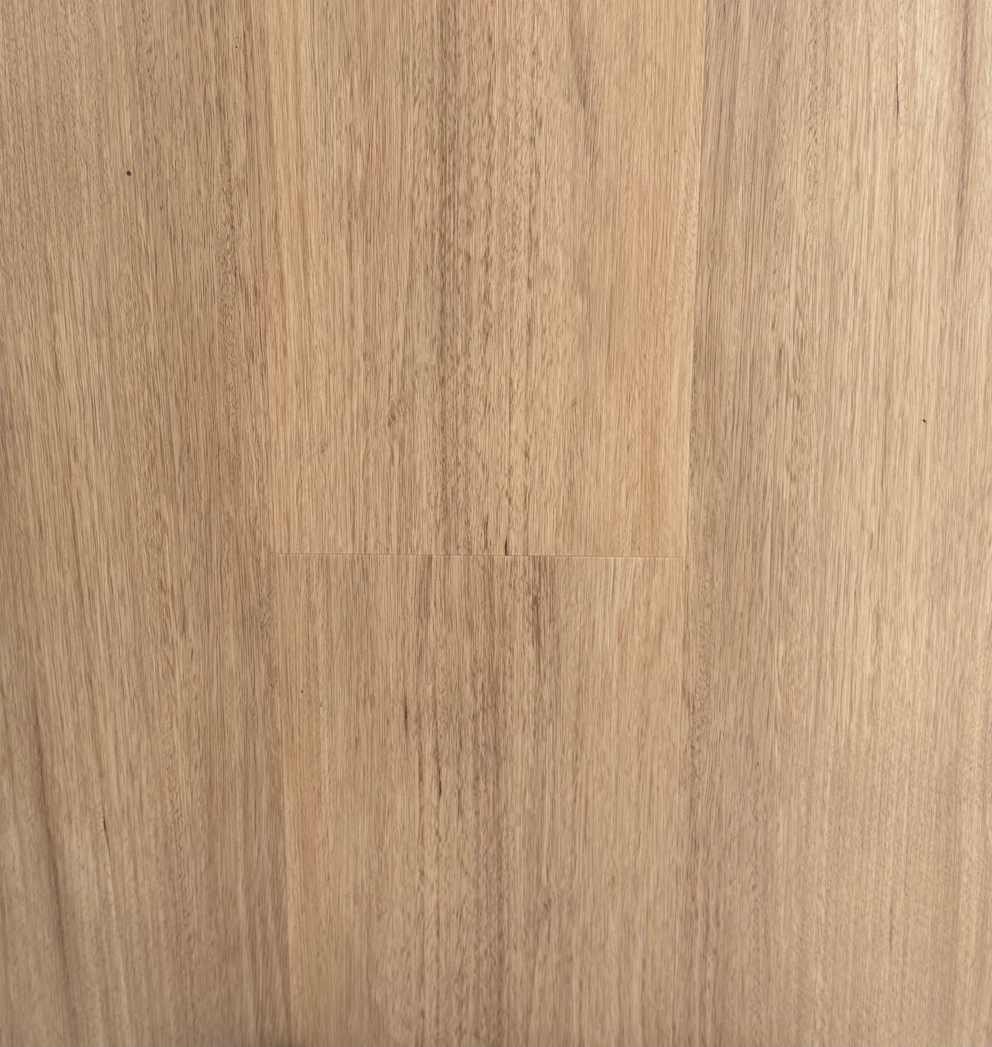 Hybrid 7016 - Blackbutt