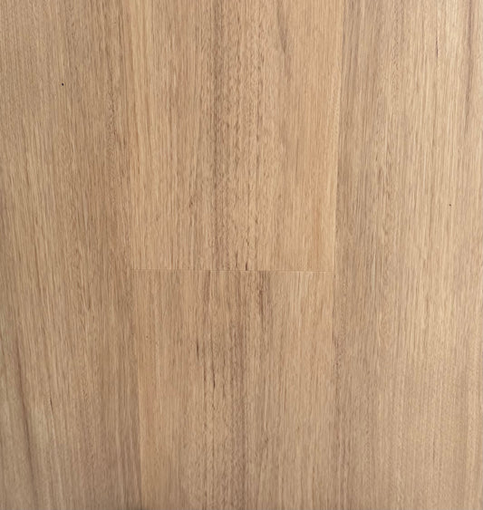 Hybrid 9016 - Coastal Blackbutt