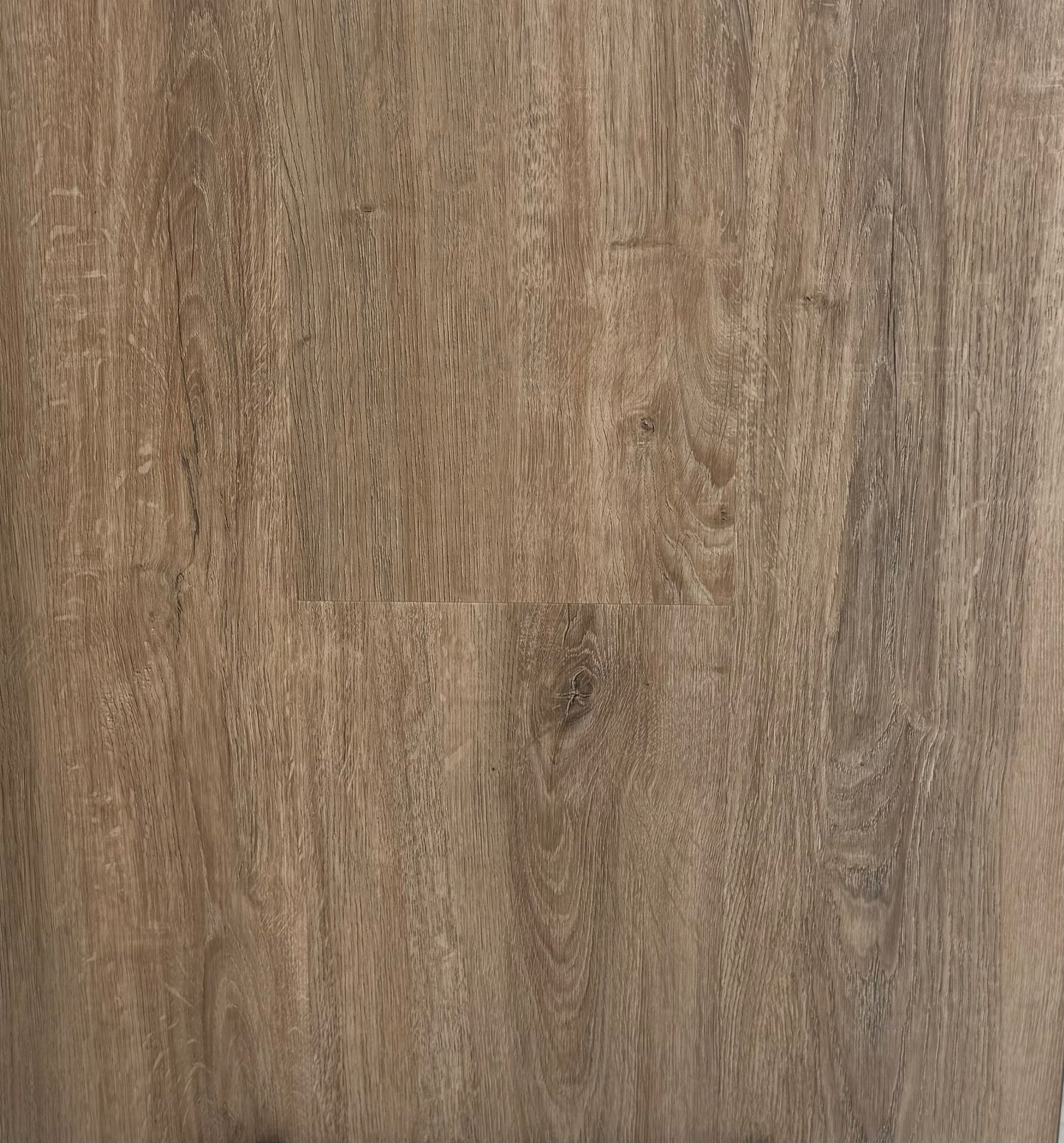 Hybrid 7015 - Salem Oak