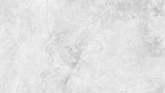 Tundra White
